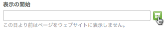 日付選択の付属した入力欄